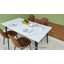 Table de salle à manger moderne pour 6 personnes avec pieds plats en fer Albury Howington-1800306767