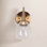 Single Light Glass Dimmable Armed Sconce