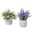 2 - Piece Artificial Plant Set