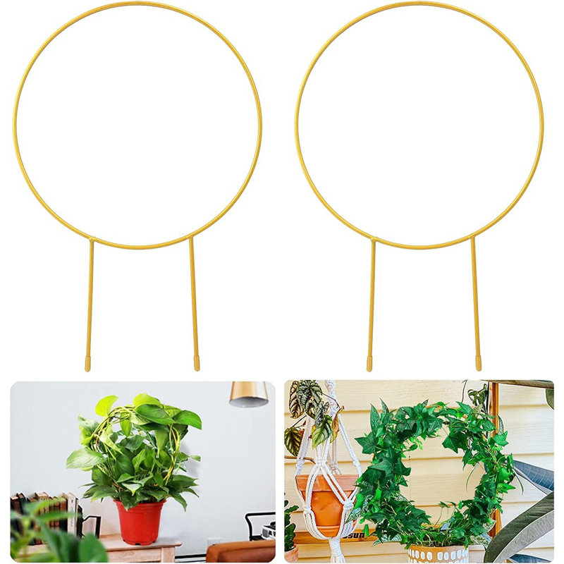 Paquet de 2 treillis circulaire pour plantes grimpantes d'intérieur, 15 po