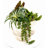 Succulent Design in Off-White Circular Ceramic Vase