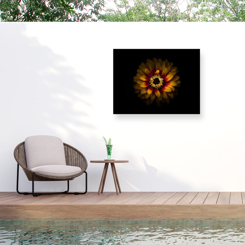 Bolognaise, Brian Carson, fleurs de jardin 69, H 24 po x l 32 po