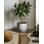 Clay Indoor / Outdoor Pot Planter