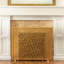 Iron Fireplace Screen