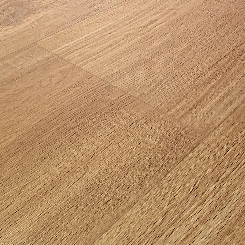 Nouvelle planche de vinyle de luxe à branches en chêne noble Microban Noble 7 po x 2,5 mm avec couche d'usure Adil Flex