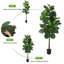 Faux arbre banane 5 po