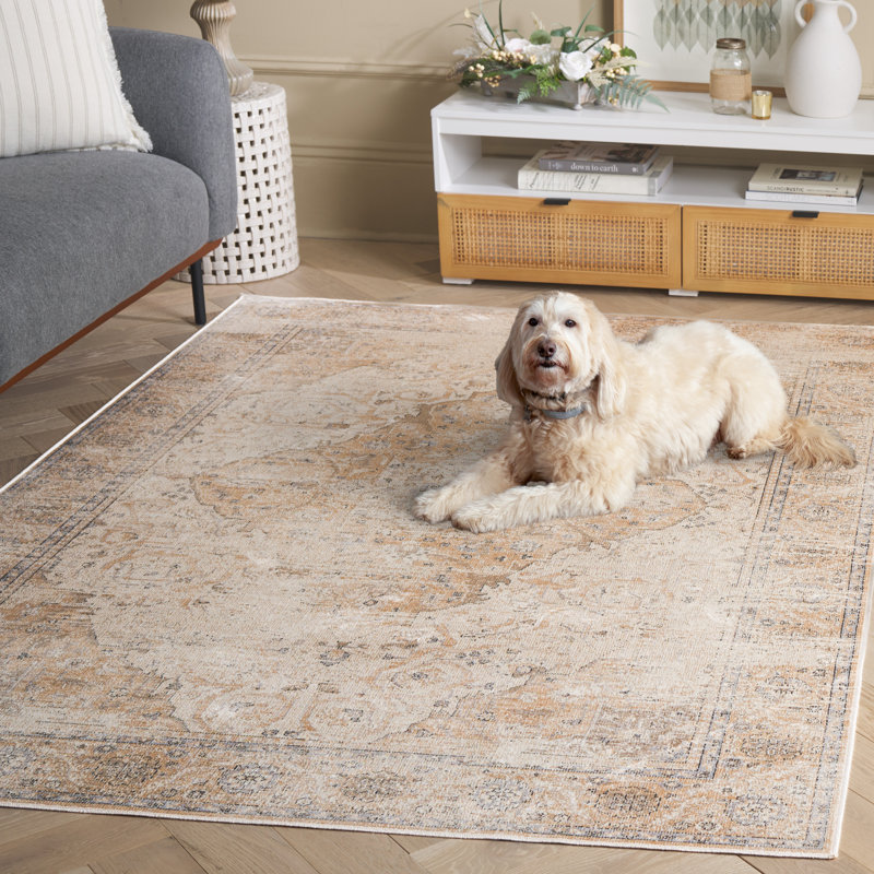 Stager Performance Oriental Rug, Rectangle 5'3" x 7'7"
