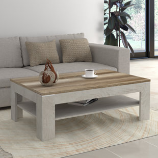 Nuzzo 4 Legs Coffee Table with Storage