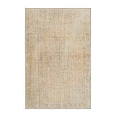 Oriental Indoor Rug
