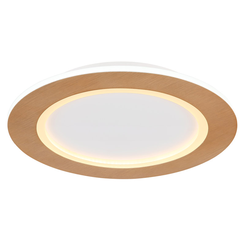 Chayil Acrylic LED Flush Mount