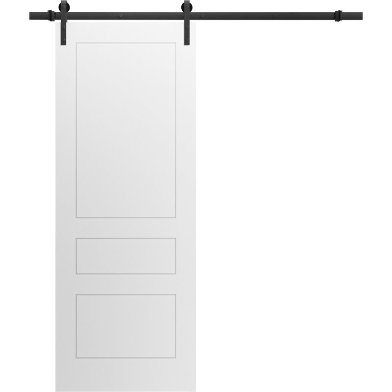 Porte de grange en bois, 28 po x 80 po
