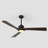 Karlena 60'' Modern Large Dimmable Ceiling Fan with Led Light and Remote, APP, TIimer, Memory-121924528