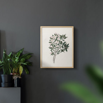 Imprimé floral rétro CLxxx