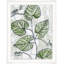 Urban Leaves 1 Print