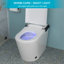 Toilette intelligente avec bidet intégré