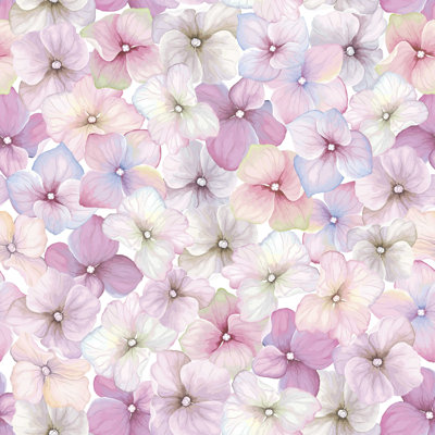 " Inflorescences Hydrangea "
