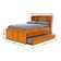 Beckford Bed with Bookcase and Shelves with Trundle