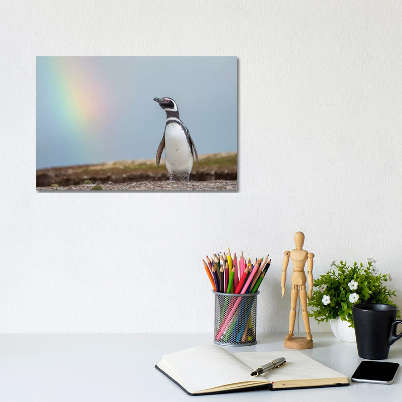 Magellanic Penguin, Falkland Islands. 1 Piece Wrapped Canvas Wall Art, 20.32 cm H x 30.48 cm W