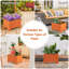 Raised Garden Bed