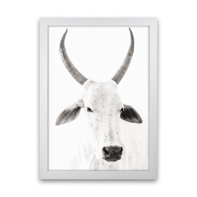 White Cow I by Victoria Frost - Single Picture Frame Print