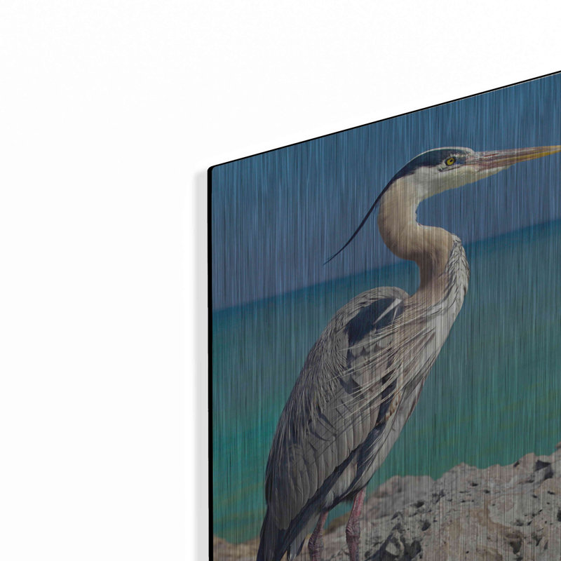 «Blue Heron», impression sans cadre sur métal, H 16 po x l 12 po x P 0,13 po