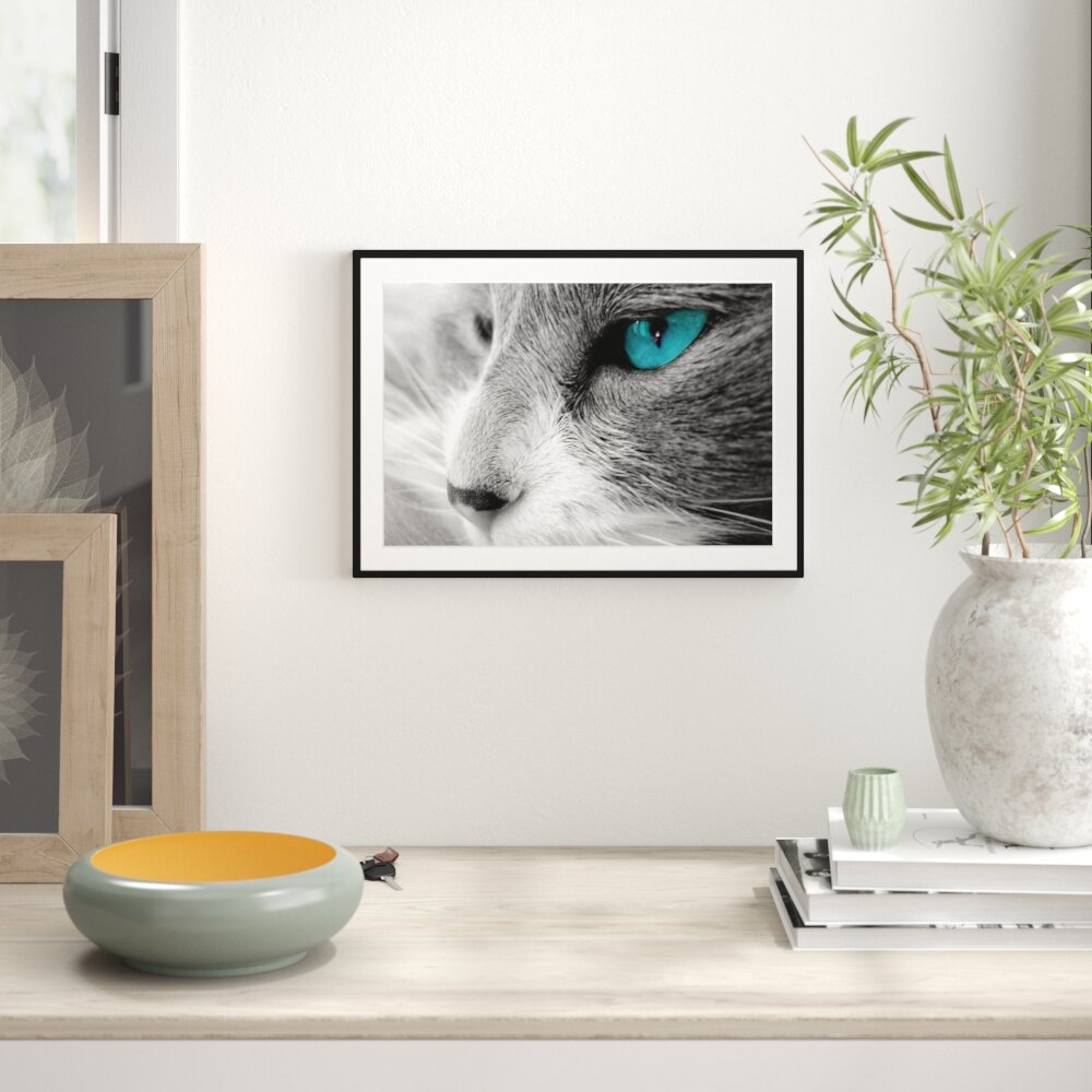 Gerahmtes Poster Katze mit Augen