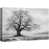 Toile tendue