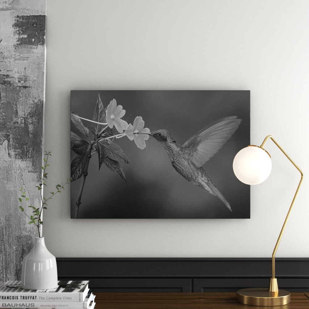 Leinwandbild „Natur - Kolibri und Blume“, Fotodruck