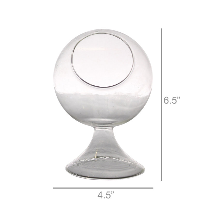 Jussuf Glass Terrarium, 6.5" H x 4.5" W x 4.5" D