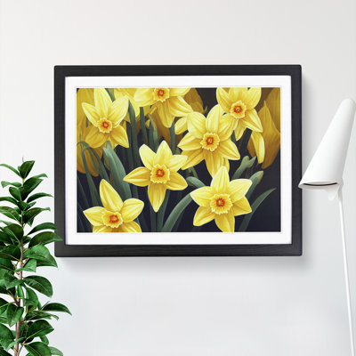 Ultimate Daffodil Flowers - Framed Print
