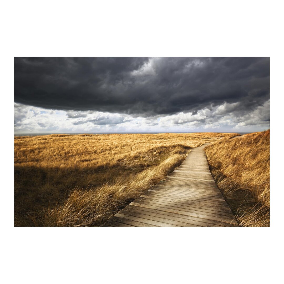 Strukturierte Tapete Path in the Dunes 1,9 m x 288 cm