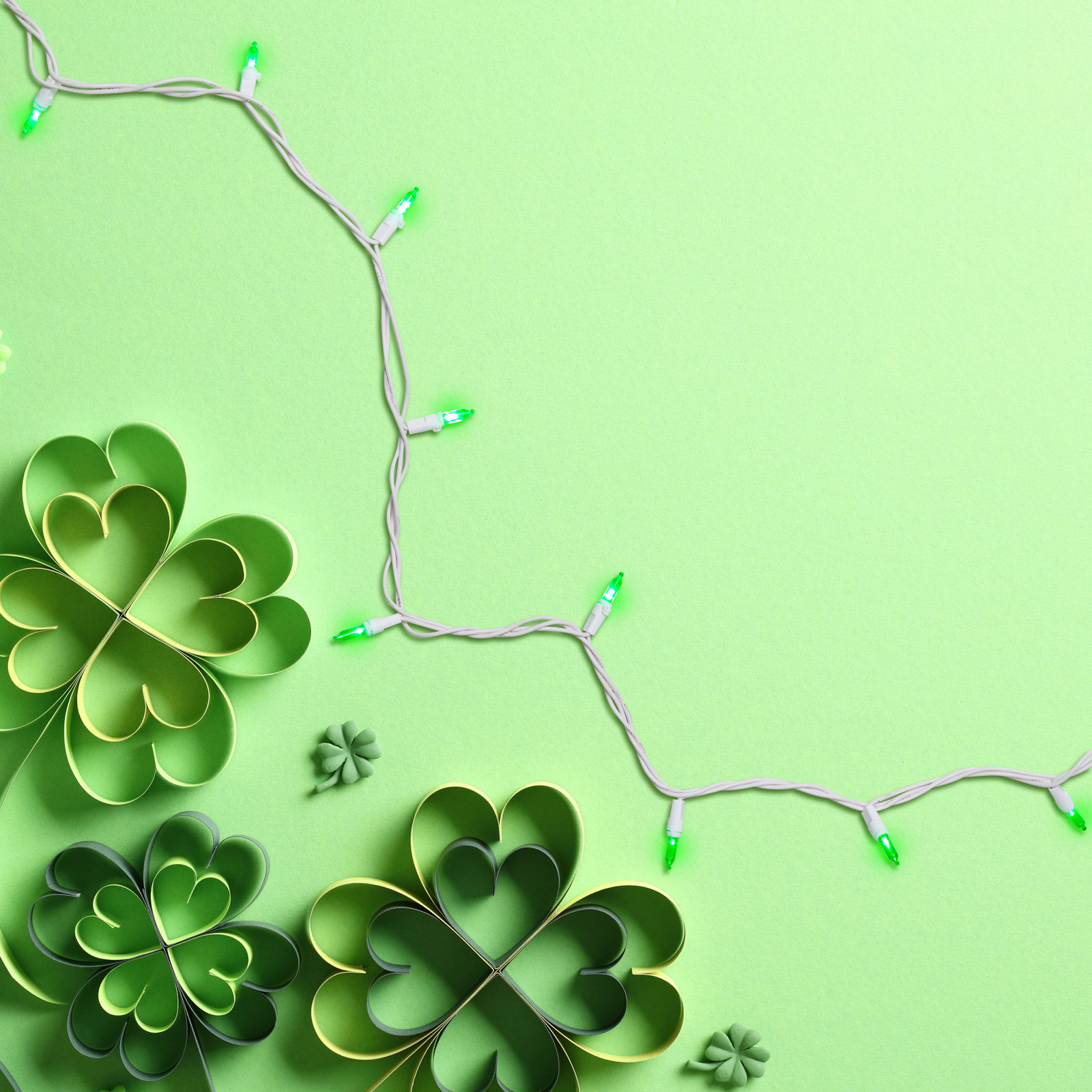 100-Light Warm LED Christmas String Lights, Green/White, 50