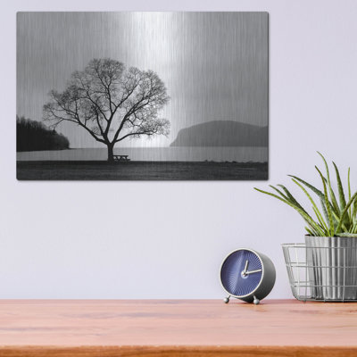 «Picnic Tree» par Photoinc Studio, art mural en métal
