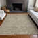  Machine Washable Indoor/Outdoor Chayden ACN1031 Brown Rug