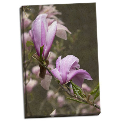 « rose tulip tree i », reproduction de photo sur toile tendue