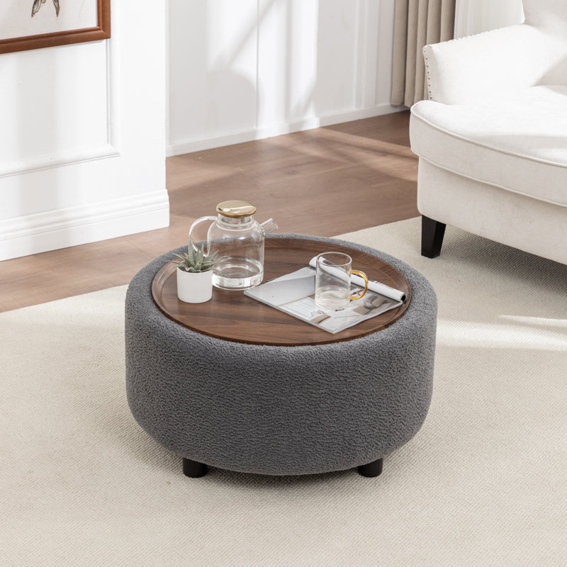 Pietsch Round Coffee Table with Storage