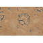 Tapis unique bleu / brun clair / brun clair de 9 pi x 11 pi 7 po par Arshs Fine Rugs