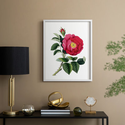 «Botanical Beauty I», reproduction encadrée - bois massif
