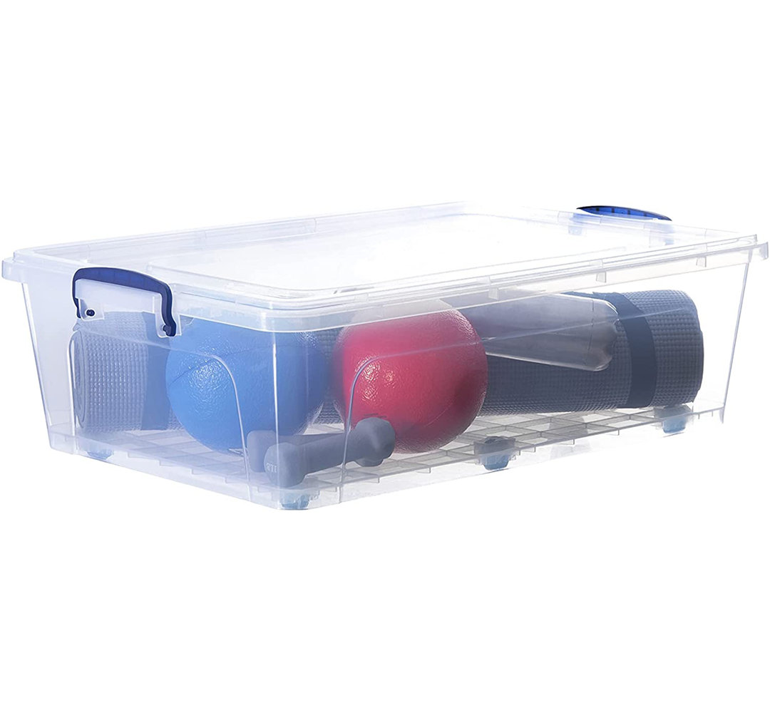 Rebrilliant Plastic Storage Tub & Tote Rebrilliant