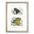 Oak Framed selected