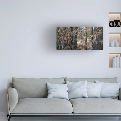 Marcus Jules Fall Woods Camo Canvas Art