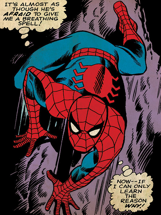 Spider-Man Reason Why Graphic Art Print on Canvas