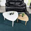 Aerith Three Leg Coffee Table with Storage