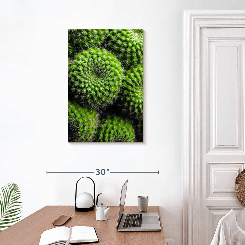 Cactus Harnek, H 30 po x l 20 po