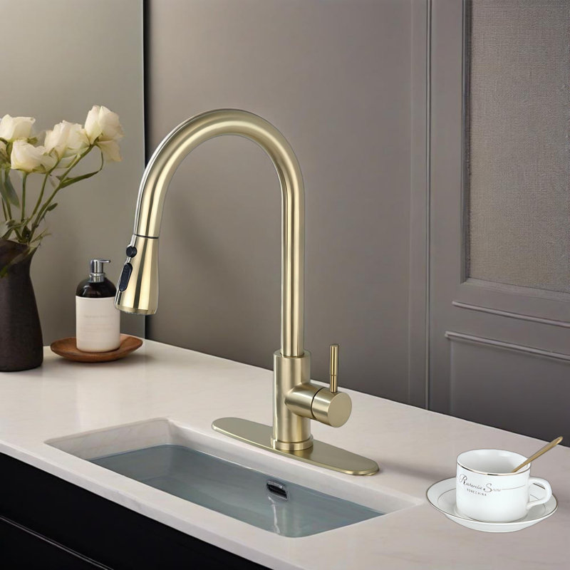 Kitchen Faucet With Pull Out Spraye