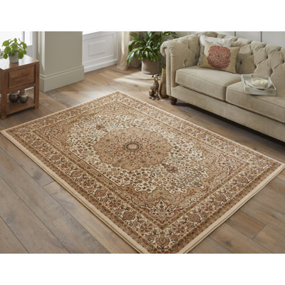 Oriental Area Rug