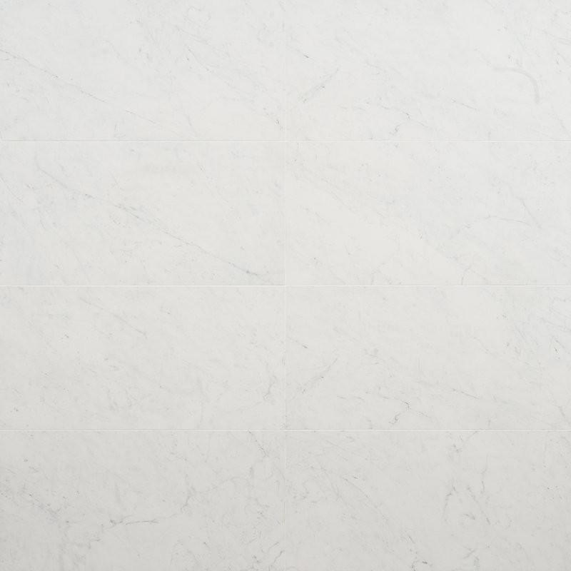 Saroshi 11.81 in. x 23.62 in. Matte Marble Look Porcelain Floor and Wall Tile (9.68 Sq. Ft. / Case), Carrara Giola