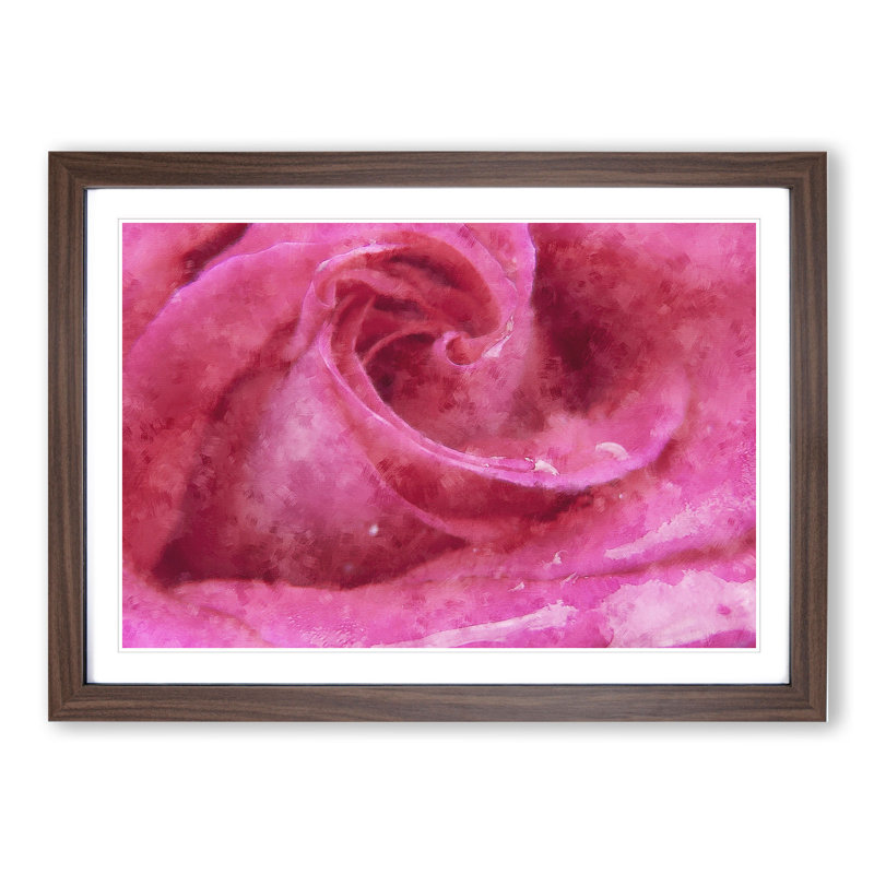 Pink Rose Flower Vol.8 - Framed Print, 27cm H x 36cm W x 2cm D, Walnut Framed