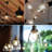 8 Watt (60 Watt Equivalent), Edison A19 LED, Dimmable Light Bulb, E26/Medium (Standard) Base-50510829
