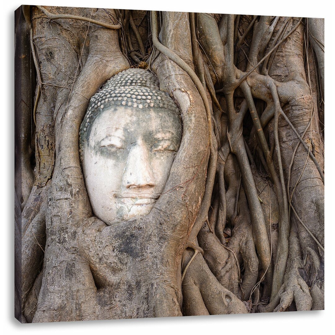 Leinwandbild Buddha Kopf verwachsen im Baum